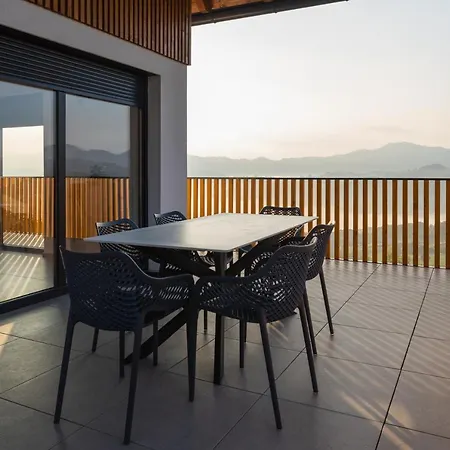 Strtenica In The Vineyard