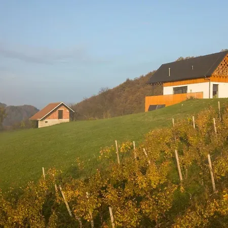 Strtenica In The Vineyard Pristava pri Mestinju