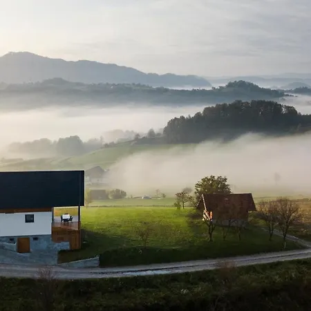 Strtenica In The Vineyard *