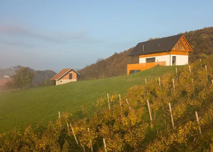 Strtenica In The Vineyard Pristava pri Mestinju
