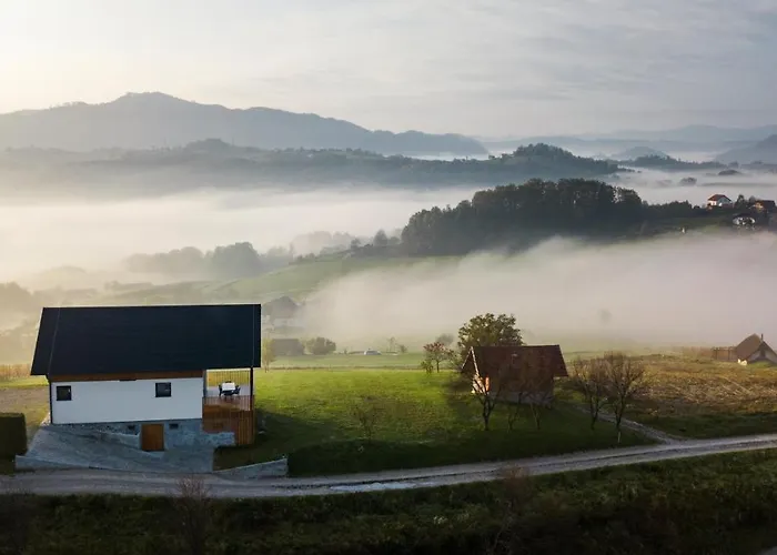 Strtenica In The Vineyard *