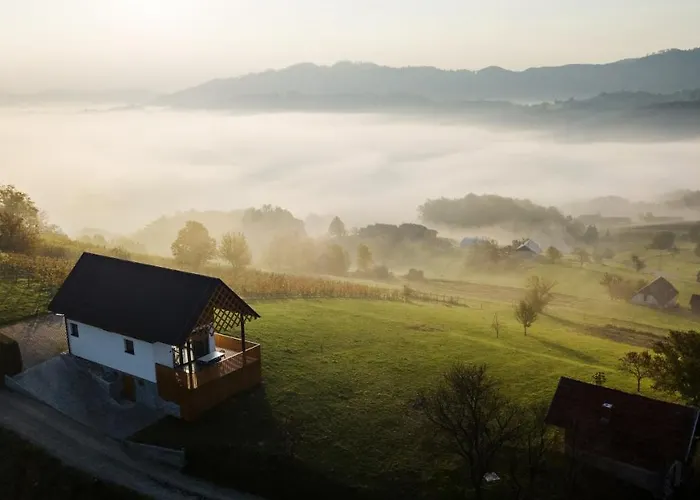 Strtenica In The Vineyard Holiday home Pristava pri Mestinju